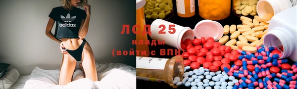 ешки Алексин