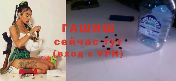 ешки Алексин