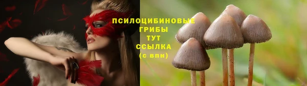 экстази Алзамай