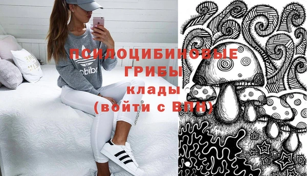 СК Алексеевка