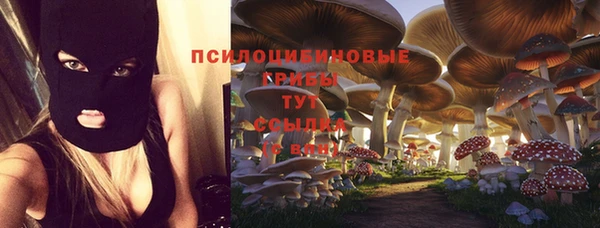 СК Алексеевка