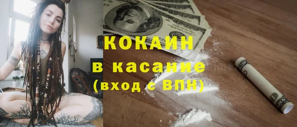 ешки Алексин
