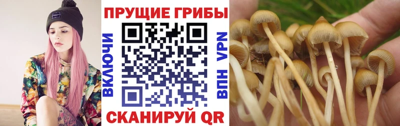 Псилоцибиновые грибы мухоморы  Томари 