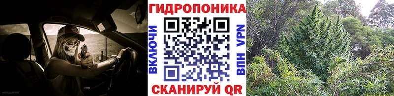 Канабис THC 21%  Томари 